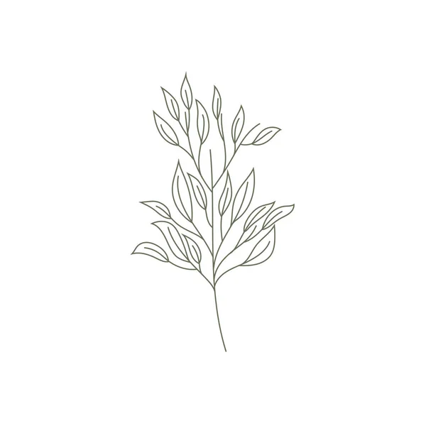 孤立した葉はベクトルデザインを描く — ストックベクタ