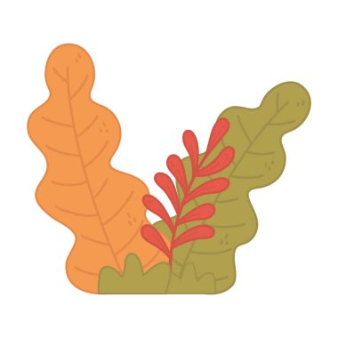 Sonbahar çalıları dal yaprakları.