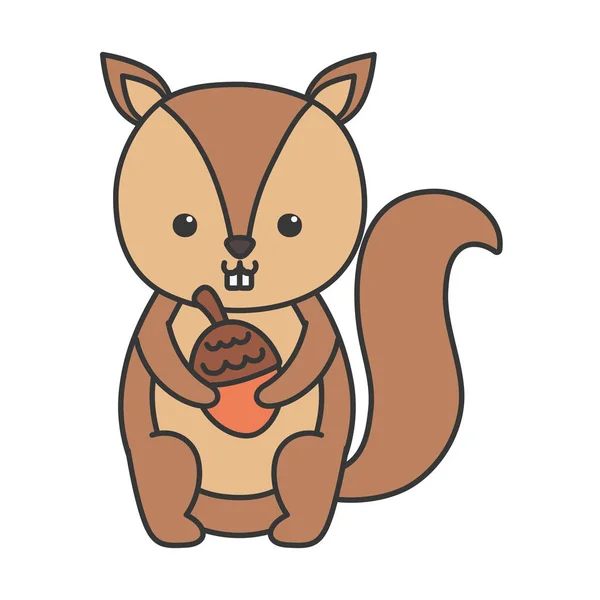 Cute squirrel with acorn hello autumn — Stock Vector