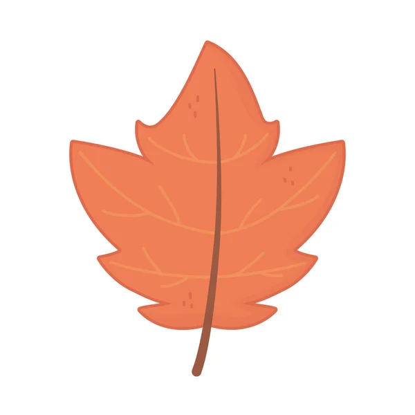 Natural leaf foliage autumn on white background — 스톡 벡터