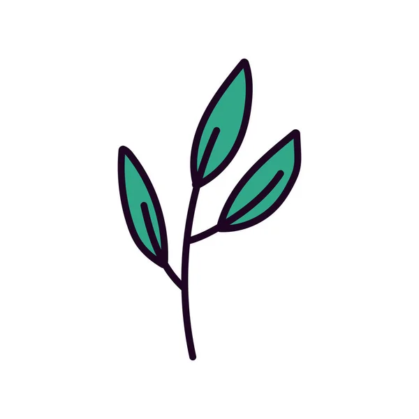 Feuillage de branche feuilles décoration organique icône — Image vectorielle