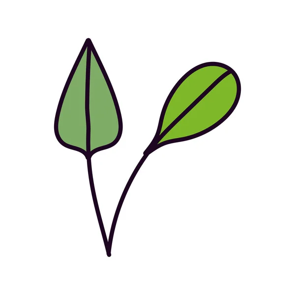 Leaves foliage narute decoration organic icon — Stockvektor