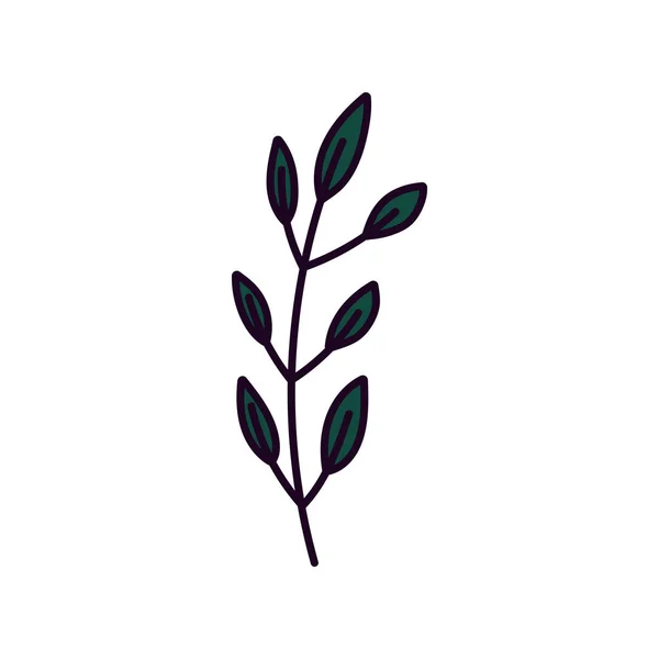 Feuillage de branche feuilles décoration organique icône — Image vectorielle