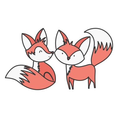 cute foxes cartoon animals on white background