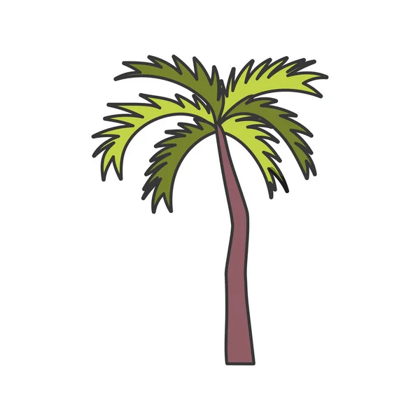 Tropical palm tree on white background — Stock Vector