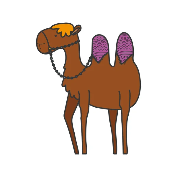 camel desert animal cartoon on white background