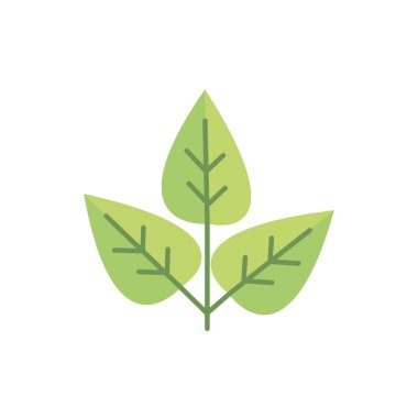 plant environment eco green energy icon