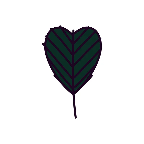 Leaf foliage botanical nature icon design — стоковый вектор