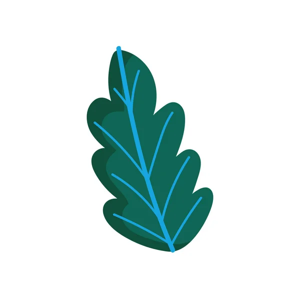 Leaf foliage botanical nature icon design — Image vectorielle