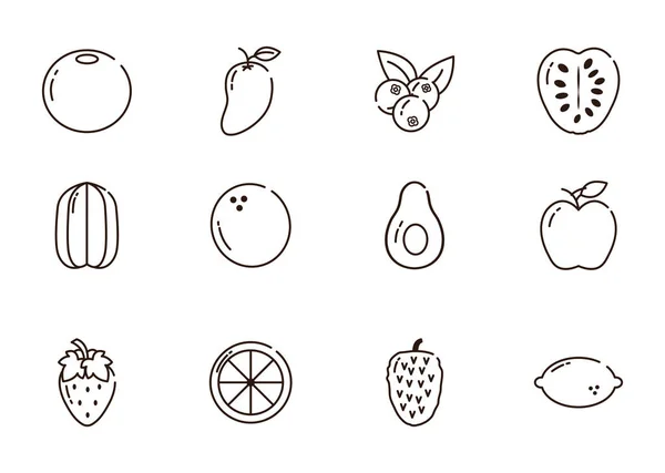 Ícones de frutas frescas da colheita nutrição definir o estilo de linha — Vetor de Stock