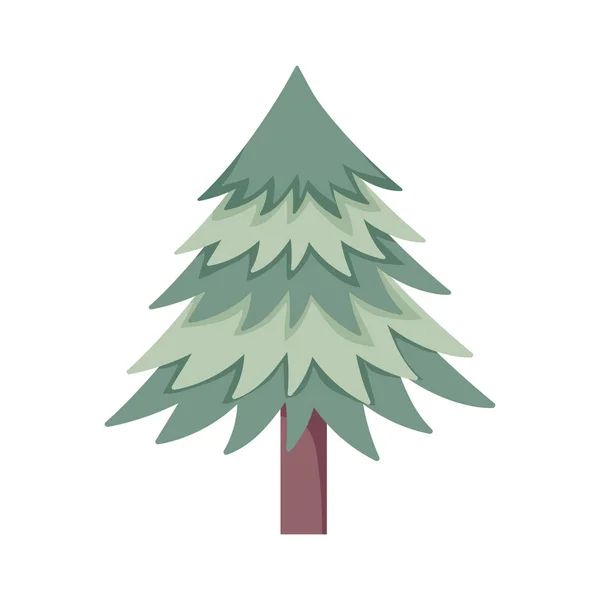 Tall träd lövverk botaniska på vit bakgrund — Stock vektor