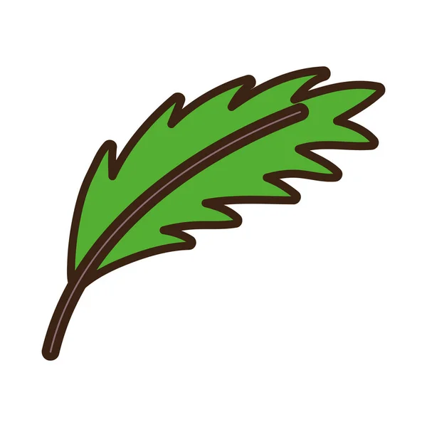 Yaprak yaprağı doğası botanik simgesi — Stok Vektör