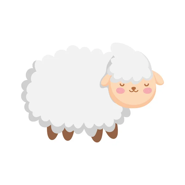 Sheep farm animal cartoon icon —  Vetores de Stock