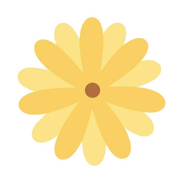 独立花卉装饰设计载体插图 — 图库矢量图片