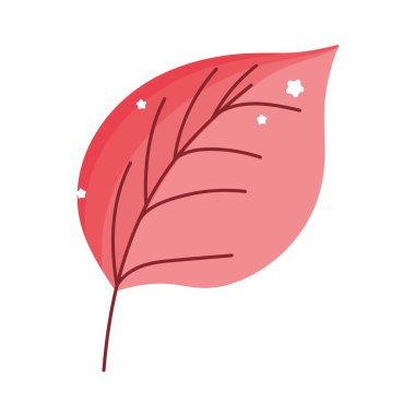 natural leaf foliage autumn on white background