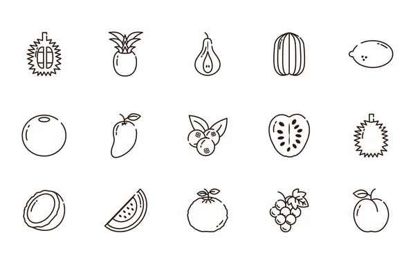 Los iconos de la cosecha fresca de frutas nutricionales establecen el estilo de línea. — Vector de stock
