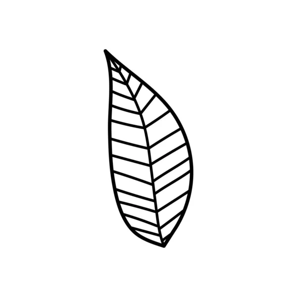 Leaf folaige nature botanical icon thick line — Stockvektor