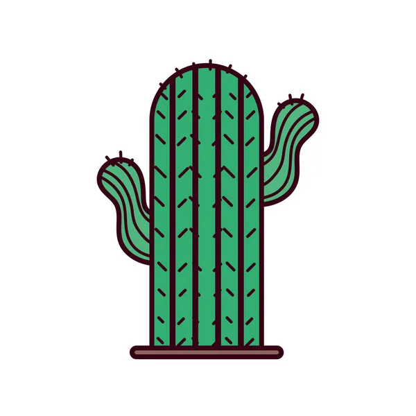 Diseño vectorial de iconos aislados de cactus — Vector de stock