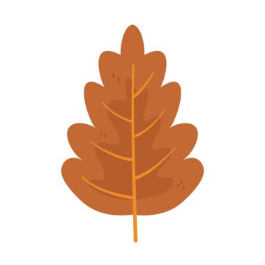 Beyaz arkaplanda sonbahar yaprağı yeşilliği