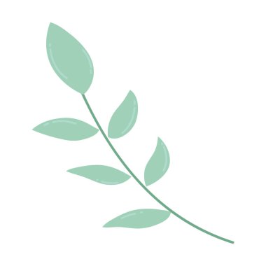 İzole yaprak tasarım vektör illüstrasyon