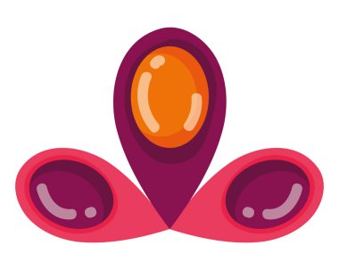 İzole süs tüyleri vektör tasarımı