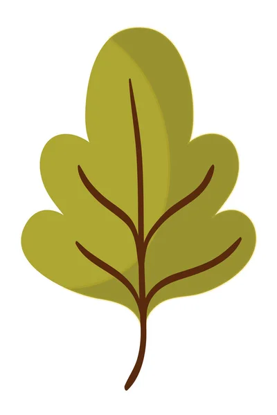 Illustrazione vettoriale isolata del disegno delle foglie — Vettoriale Stock