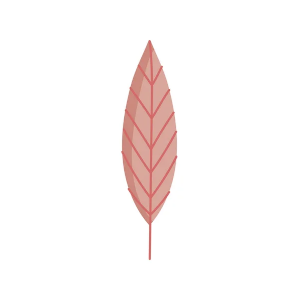 Leaf foliage botanical nature icon design — Wektor stockowy