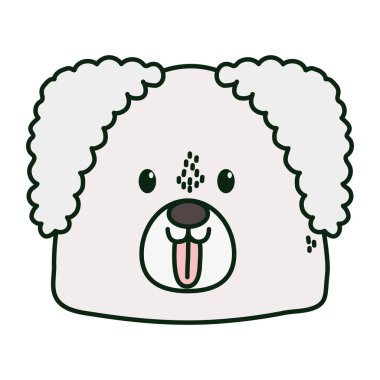 cute dog head tongue out on white background