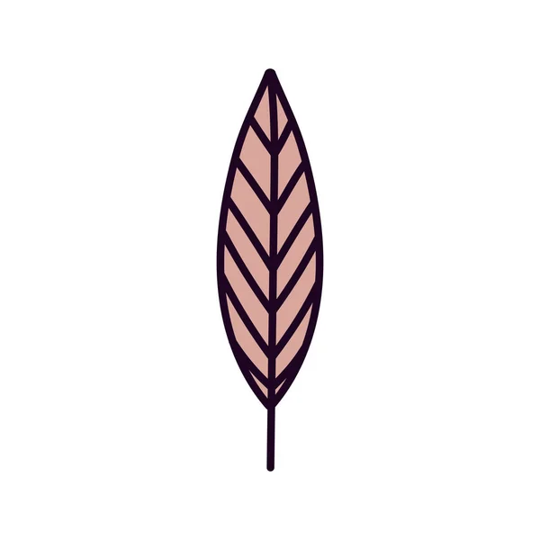 Leaf foliage botanical nature icon design — Stock vektor