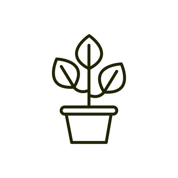 鉢植えの植物環境生態系を満たし — ストックベクタ