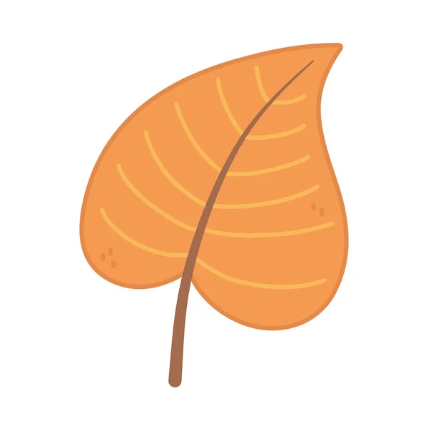 Natural leaf foliage autumn on white background — 스톡 벡터