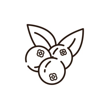 İzole edilmiş yaban mersini ikonu çizgisi çizimi