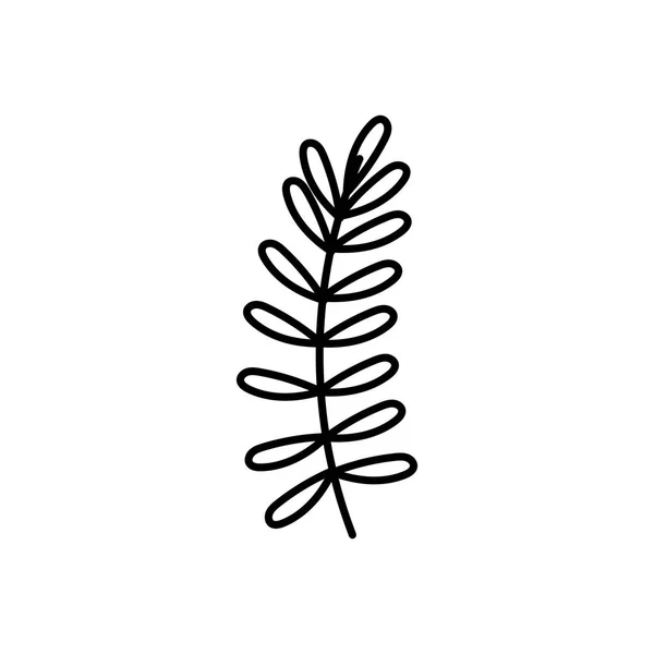 Decorative nature foliage leaves branch icon thick line - Stok Vektor