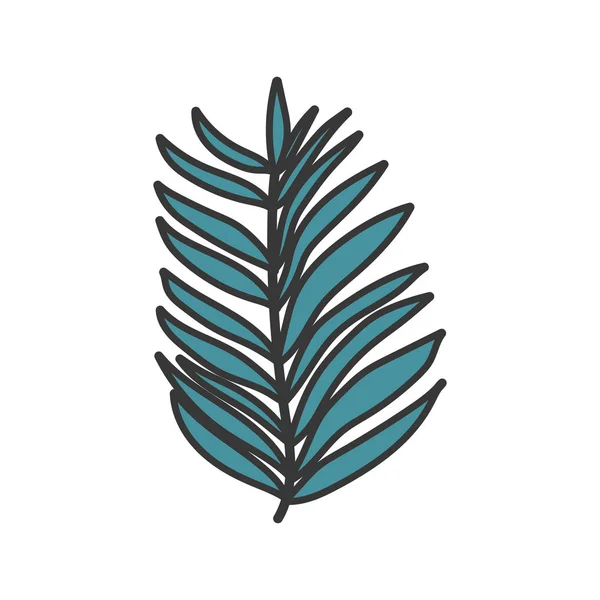 Palm leaf tropical botanical icon — Vector de stock