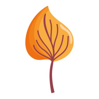 natural leaf foliage autumn on white background