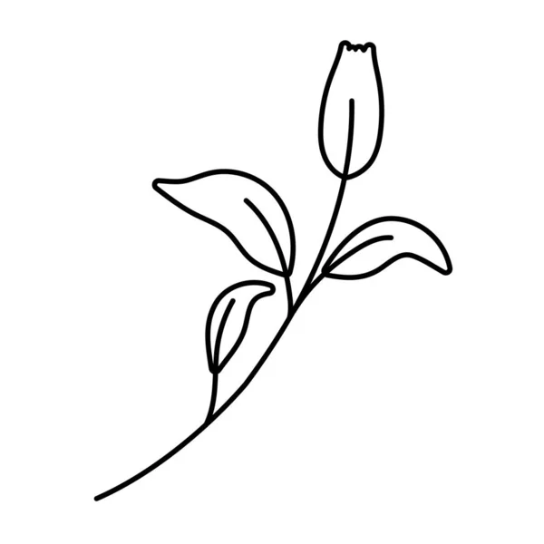 Μεμονωμένη απεικόνιση διανυσματικών λουλουδιών διακόσμησης — Διανυσματικό Αρχείο