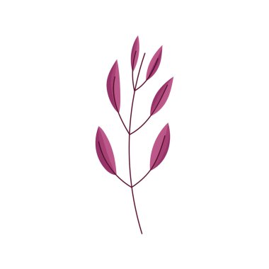 beyaz arkaplanda dallanma doğası sonbahar