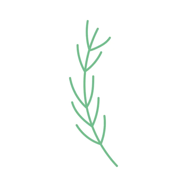 Green branch foliage decoration icon — Vetor de Stock