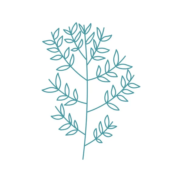 Branch leaves foliage line style color — ストックベクタ