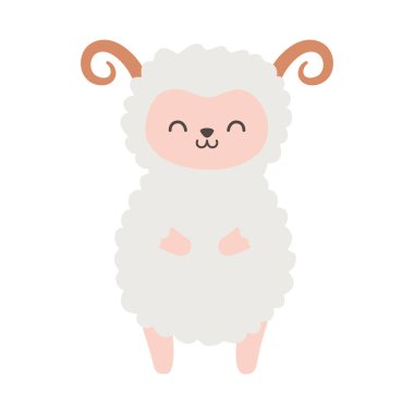 Beyaz arka planda boynuzlu şirin koyunlar