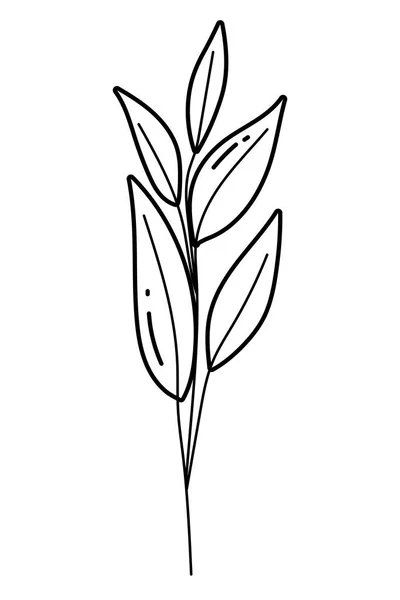 Illustrazione vettoriale di progettazione di foglie isolate — Vettoriale Stock