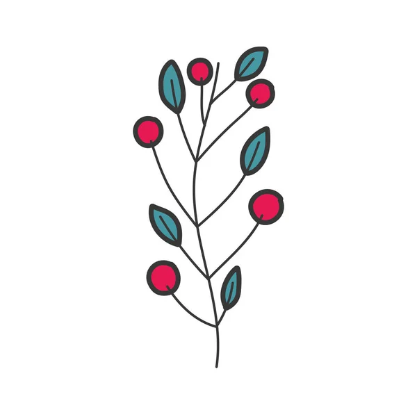 Zweig Blätter Beeren Laub Symbol — Stockvektor