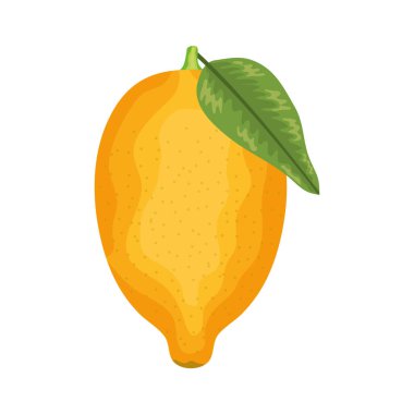 taze limon meyve doğa simgesi