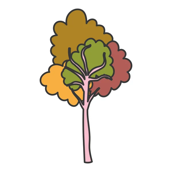 乔木叶状植物的自然秋天 — 图库矢量图片