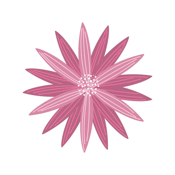 Pink flower decoration nature on white background — Stockový vektor