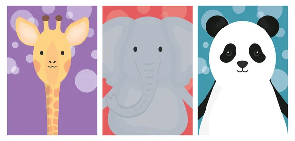 Cute animals elephant giraffe and panda banner — 스톡 벡터
