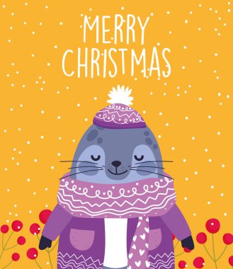 Mutlu Noel kutlamaları Kazak ve şapka giyen sevimli keşiş foku