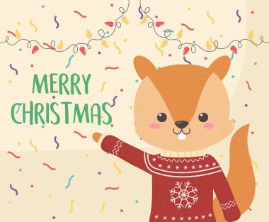 merry christmas celebration cute squirrel with sweater lights confetti decoration