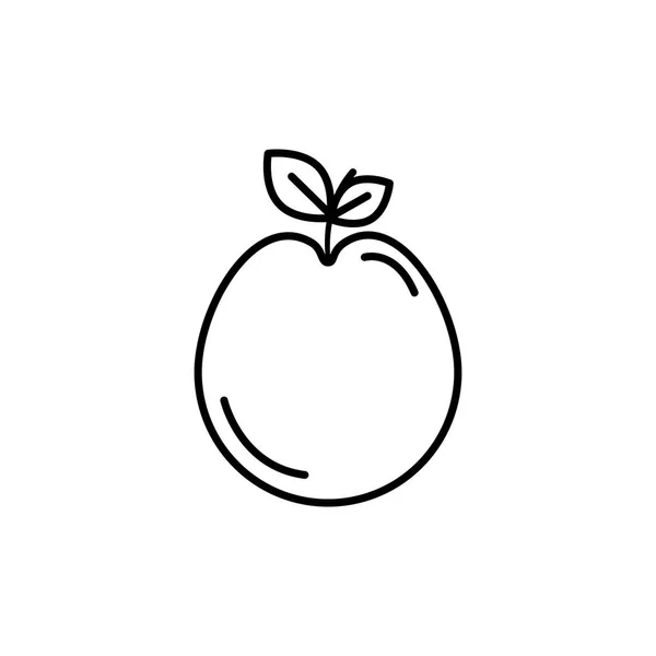Az alma elszigetelt ikonvonalának kialakítása — Stock Vector