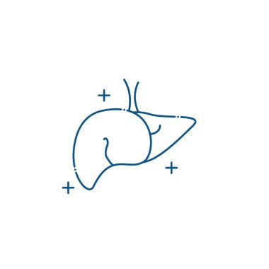 Isolated liver icon line design